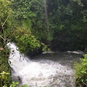 Meet your Posher, Miriam